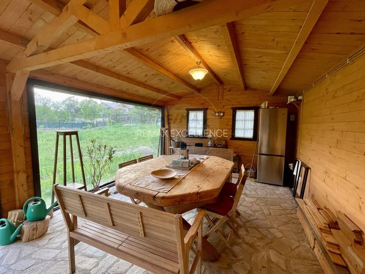 Proprietate de vis la munte  | Foisor + Cabanuta | Utilitati complete - 2