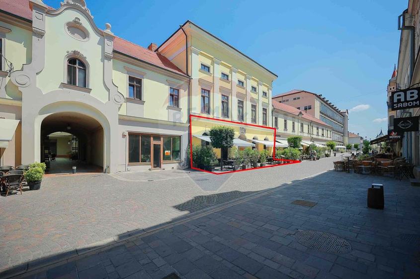 De vânzare — Spațiu comercial parter 409 mp, Vasile Alecsandri