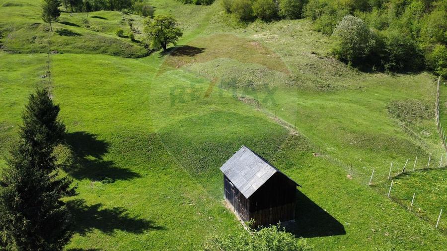 Teren 12,127mp Frasin / Drumul Forestier Valea Seacă