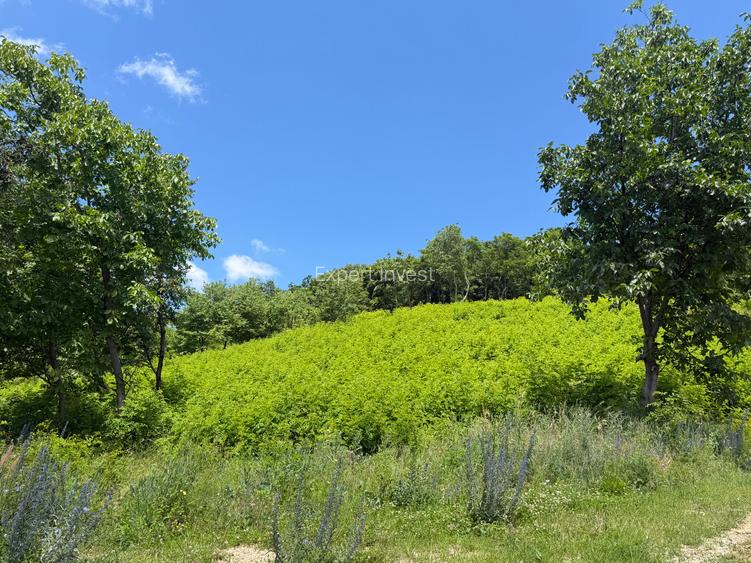 Teren intravilan 2.500 mp in Cisnadioara / jud. Sibiu - 4