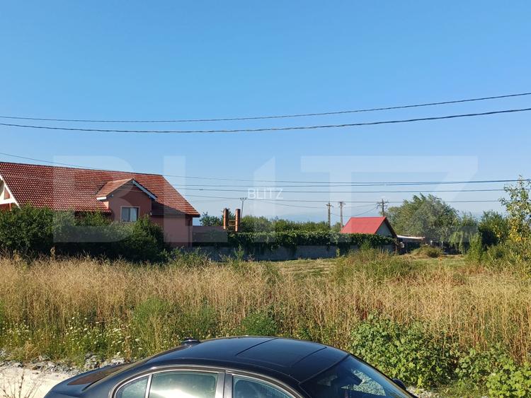 Teren intravilan si extravilan, 9500 mp, cu dublă deschidere – Ana Ipatescu - 4