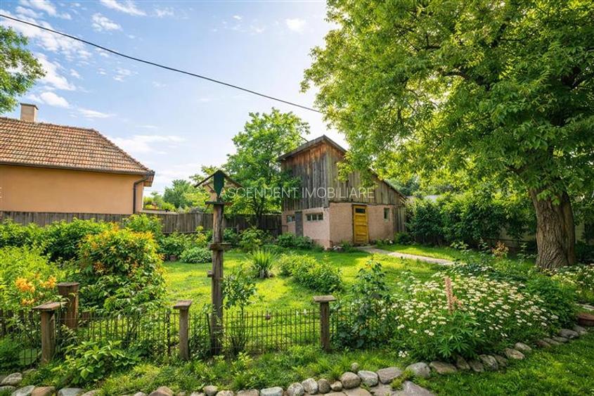 Casa traditionala, cu teren pretios de 534 mp, Targu Secuiesc - 13