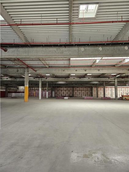 Spatiu Industrial - 9500 mp - Logistica - Productie - Depozitare - Distributie