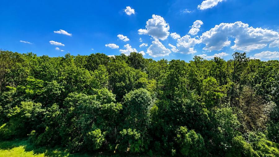 Greenfield Residence 2 Camere cu vedere panoramică spre pădure - Bloc D6 - Parca