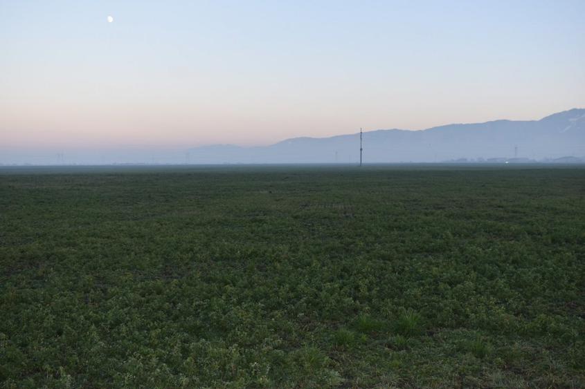 Vând teren intravilan excelent pentru constructii industriale în Codlea