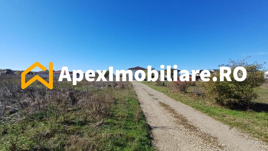 Corbeanca - Tamasi | Teren 1225mp, deschidere 44ml | Utilitati la 50m - 3