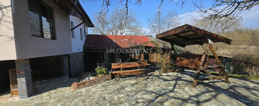 Proprietate de excepție în Lelești – la doar 8 km de Târgu Jiu - 34