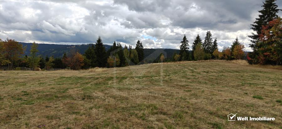 Teren intravilan 10.600 mp la intrarea în Râșca