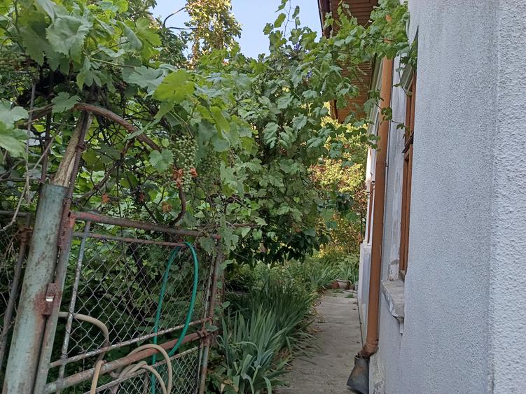 CASA SINGUR CURTE PARCUL CAROL TEREN IN PROPRIETATE 620MP POTENTIAL ENORM DIVERS