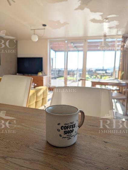 Penthouse superb cu terasa panoramica in supr. totala de 399 mp in Grigorescu