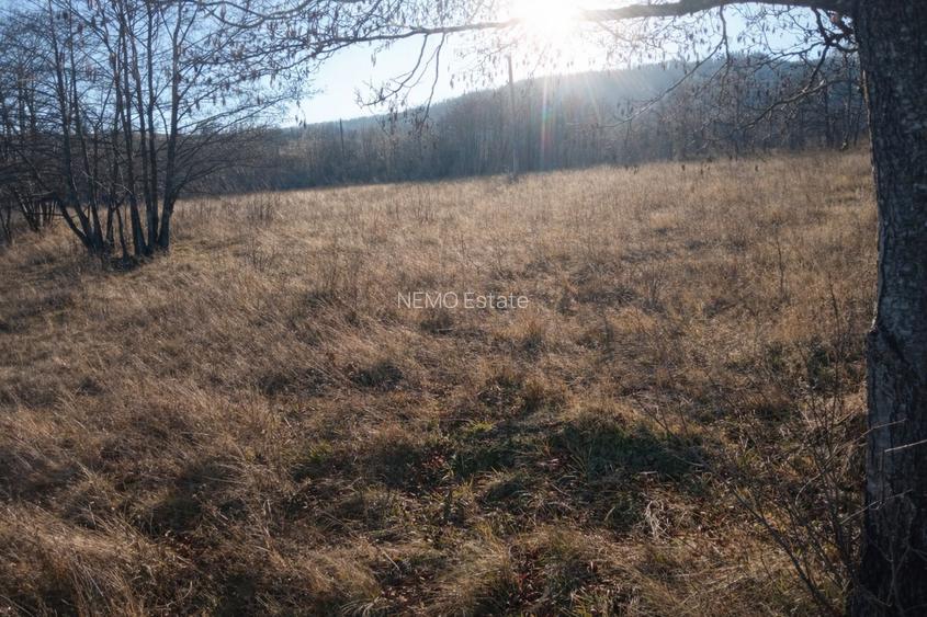 Teren extravilan | Vicovu de Jos | Preț 25.000 - 3