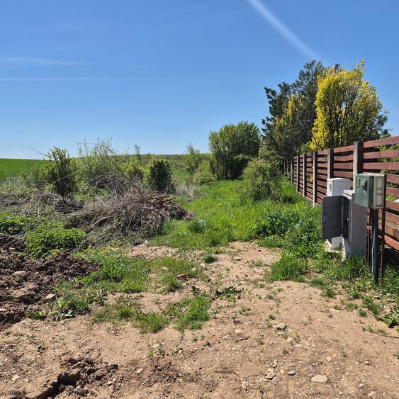 Ciolpani, spre Izvorani - COR, vanzare teren 5000mp.