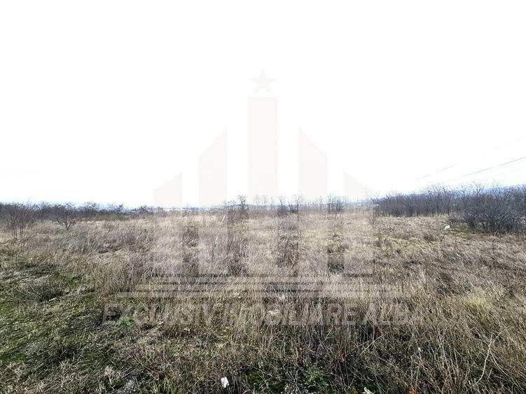 Teren extravilan | 6000 mp | 150 ml deschidere | Alba-Lancram