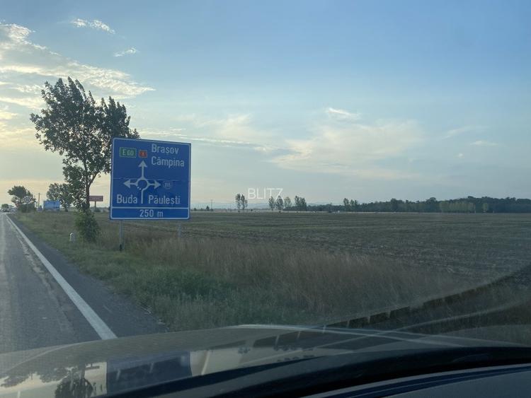 Teren intravilan 29 000 mp, Paulesti. DN1. - 5