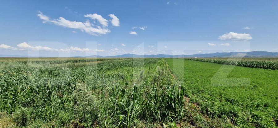 Teren de vânzare, partial intravilan – Izvor, Tărlungeni – 10.900 mp