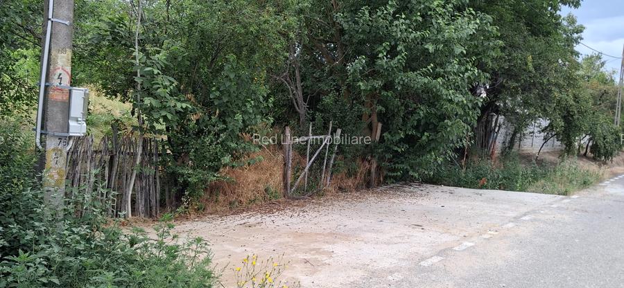 Teren Intravilan  in Tismana (Comuna Devesel), la 200 ml de Dunare - 3