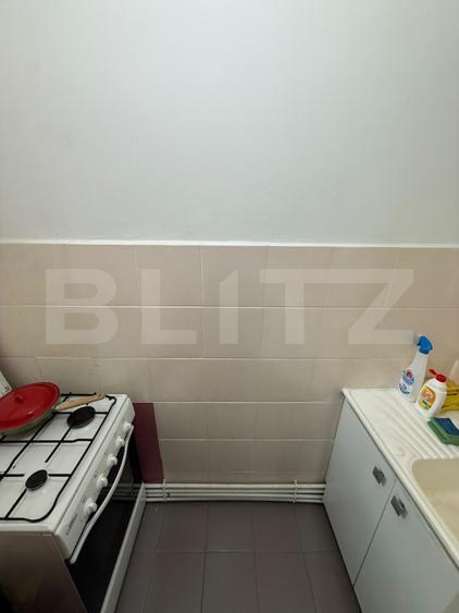 Apartament 1 Camera (Microapartament) Zona Centrala, 42 mp