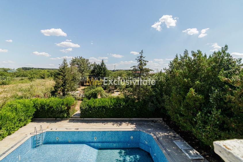 Domeniu privat 5.000 mp, cu reședință de 625 mp și piscină, Corbeanca - 35