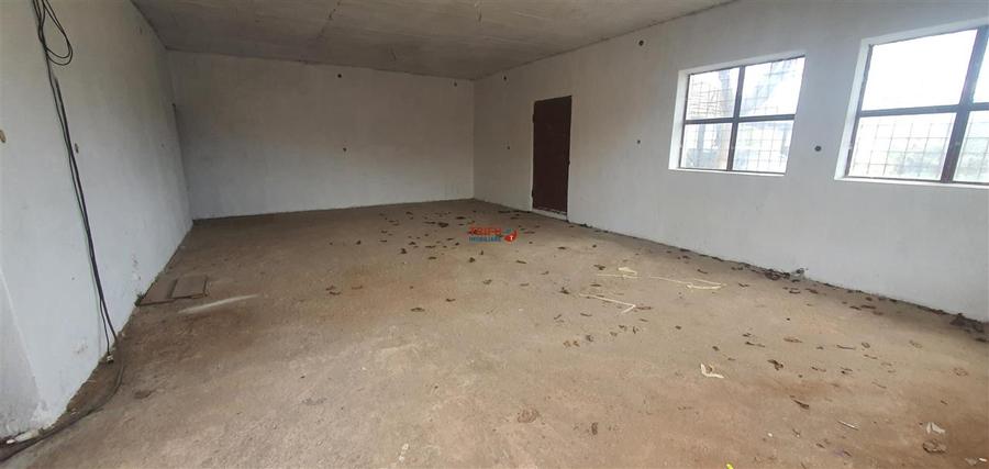 Casă 4 camere cu atelier zona Tolstoi 1200 mp teren