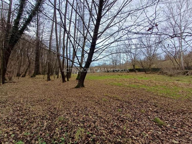 Resita, Teren Drept Intravilan, Langa Prau si Drum, Parcelabil, 4500 Mp., 15 Eur - 11
