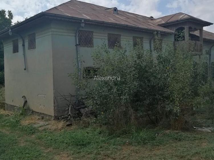Teren intravilan 3.500 mp, 33 m deschidere la stradă, cu casă și put forat  - 2