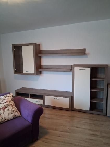 Apartament deosebit 2 camere Panduri