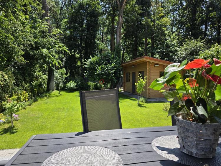 Forest Lifestyle | Vilă premium în Mogoșoaia