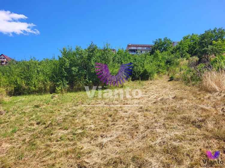 Teren Intravilan 546 mp | Panorama deosebita | PUZ in lucru