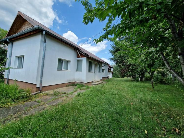 Balilesti - Stradal, casa spatioasa, 4600 mp teren intravilan - curte spatioasa