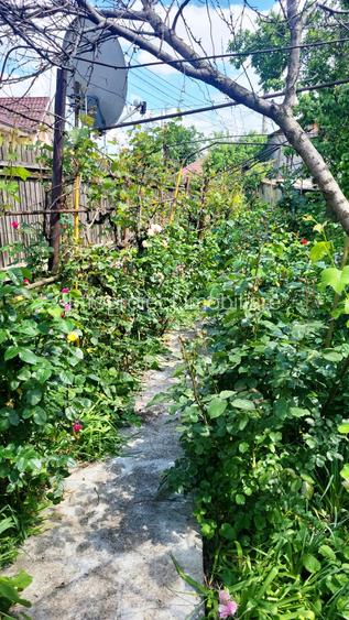 Casă cărămidă stare bună, utilități, garaj, beci, teren 540 mp, zonă fără trafic - 11