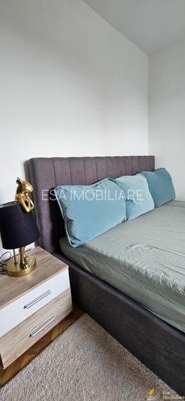 Apartament 2 camere de inchiriat Cismigiu - 6