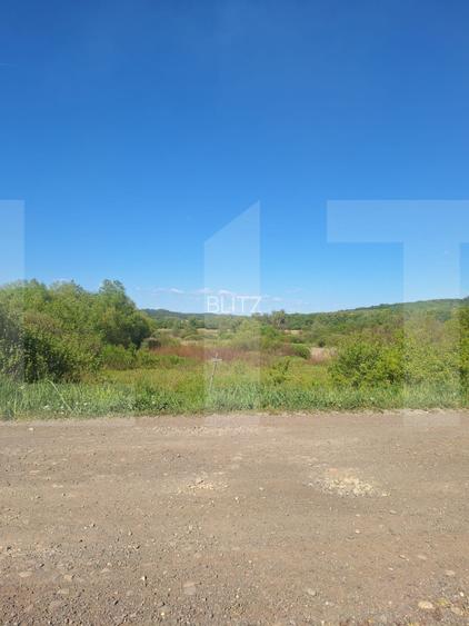 Teren de vânzare 1.600 mp cu deschidere la lac – zona Lacul Surduc - 2