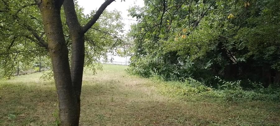 PRIVAT 844mp cu Casa si Utilitati - Zamca, Ideal pentru Locuinta sau Investitie - 6