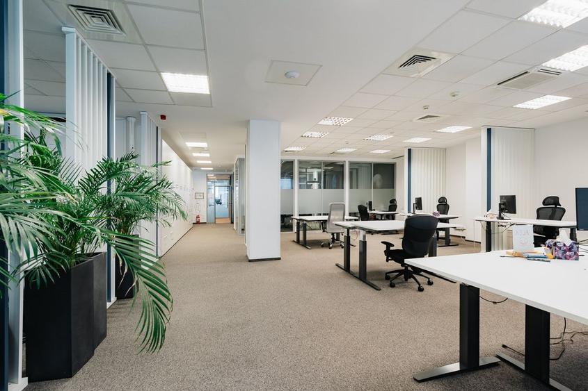 Maestro Business Center