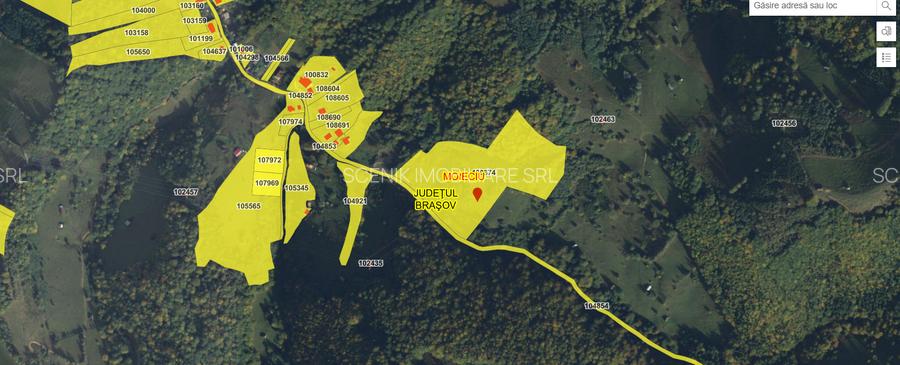 Investitie Smart in Moieciu, 3.1 ha, Panoramă 360 Bucegi - Piatra Craiului - 19