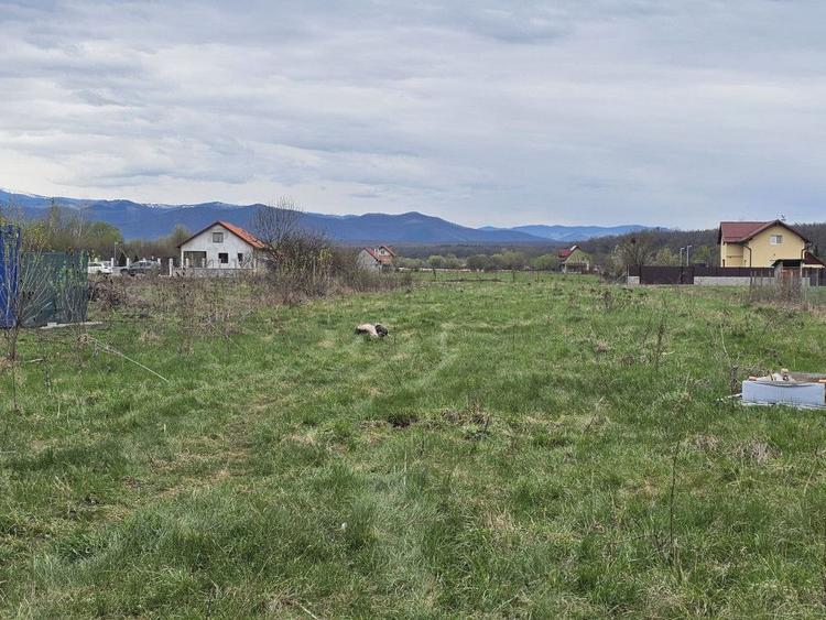 Teren intravilan de 500 mp in Calea Cisnădiei, Sibiu