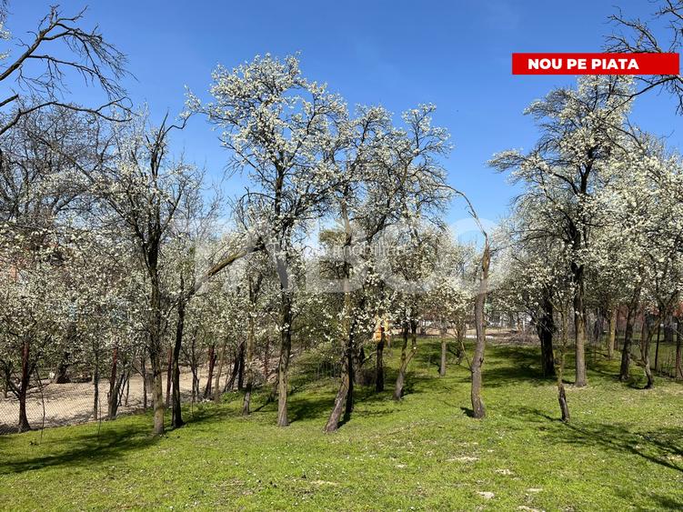 Teren intravilan imprejmuit 789mp UTILITATI URBANISM Poplaca - 2