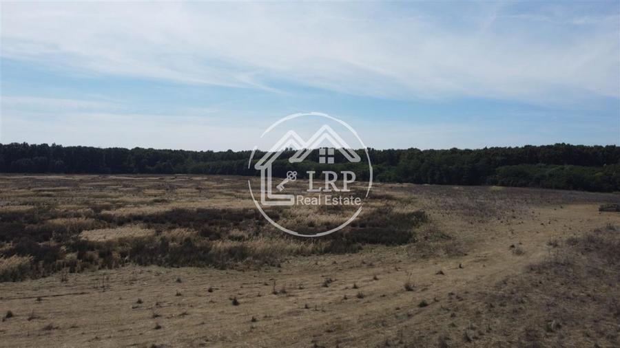 Teren Voluntari-Pipera | 3.700mp | Zonă Pădure & Școli Internaționale