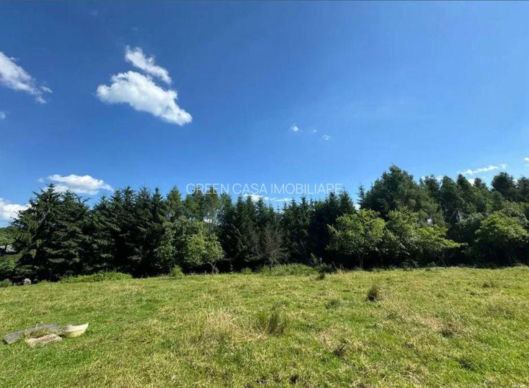 Teren intravilan 5.755 mp | Zona Muzeul Satului Maramureșean, Sighetu Marmației - 2
