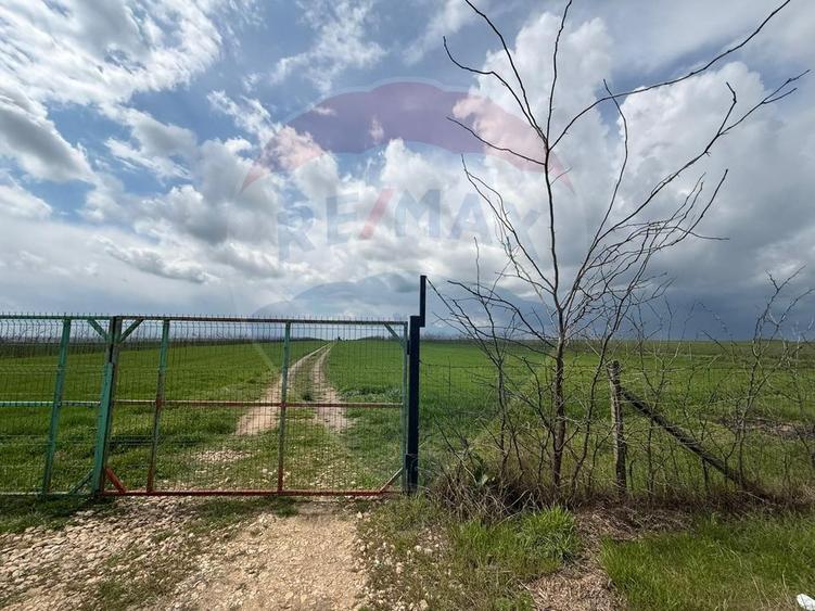 Teren de vanzare in Săcele ideal pentru silozuri, fermă 6 ha
