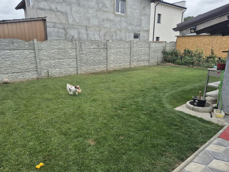 Vila spatioasa vedere padure, cu 6 camere,2 bai,toate UTILITATILE,curte 600 mp