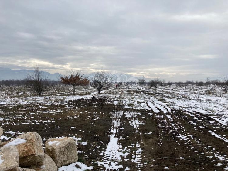 Teren intravilan de vanzare pentru constructii case Ghimbav - 4