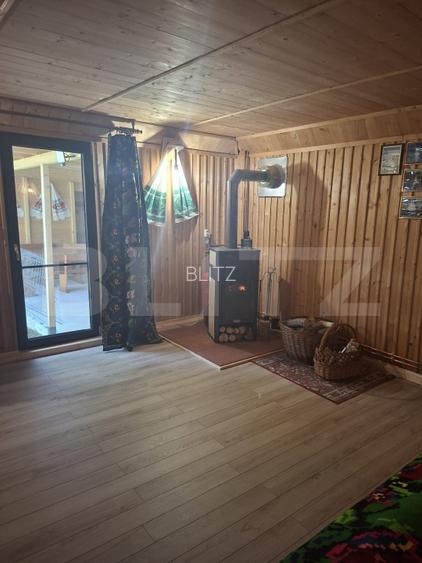 Casa de vacanta 4 camere, 100 mp, teren 768 mp, Dealu Mare, Comuna Rasca - 10