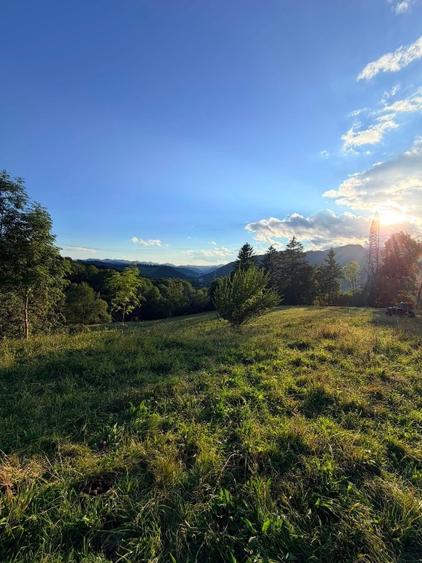 🏔️ TEREN INTRAVILAN DE VÂNZARE – BRAN | 9.085 MP | PRIVELIȘTE PANORAMICĂ | UTIL