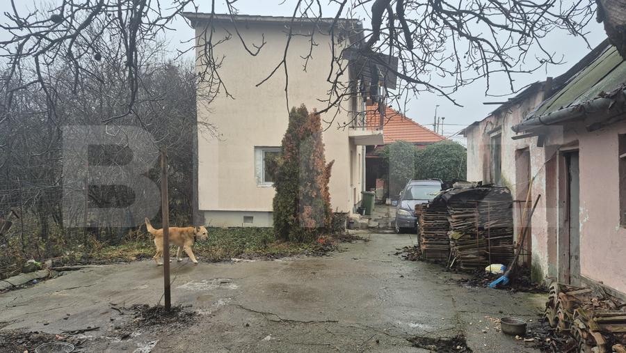 Casa cu 4 dormitoare de vanzare, 190 mp, 1306 mp teren, pe strada Careiului