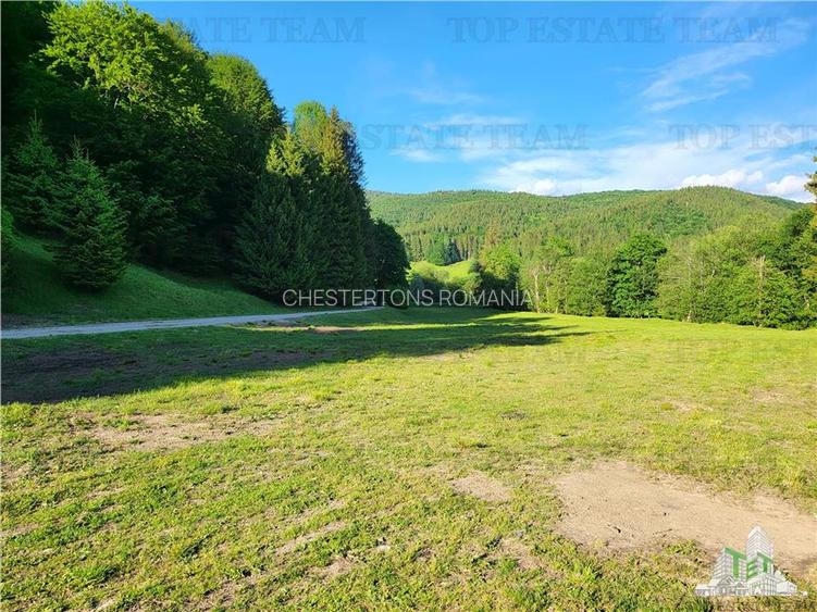 Teren Intravilan 12000 mp, Cascada Urlatoarea- Vama Buzaului, proiect aprobat pe - 12