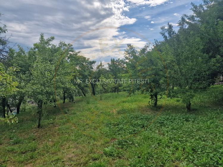 Teren intravilan 1400 mp - Albota! - 4