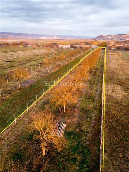 RECO Teren intravilan construbil 5342 mp-  sat.Hotar - 5