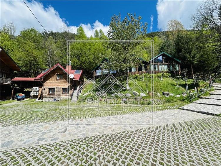 Complex turistic complet functional-zona Raul Sadului-afacere la cheie - 36