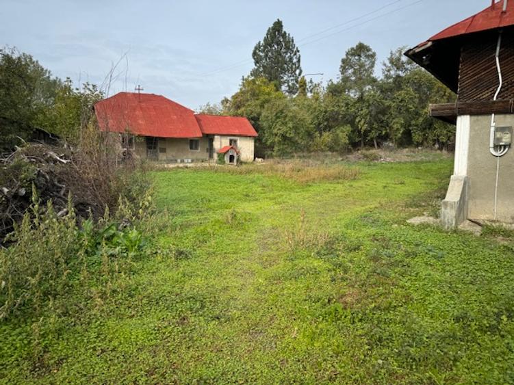 Pitesti-Stefanesti-Crama Stefanesti teren de vanzare Comiaion 0